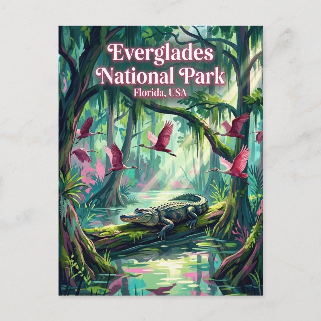 Everglades National Park USA Postcard (Front)