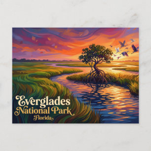 Everglades National Park USA Postcard