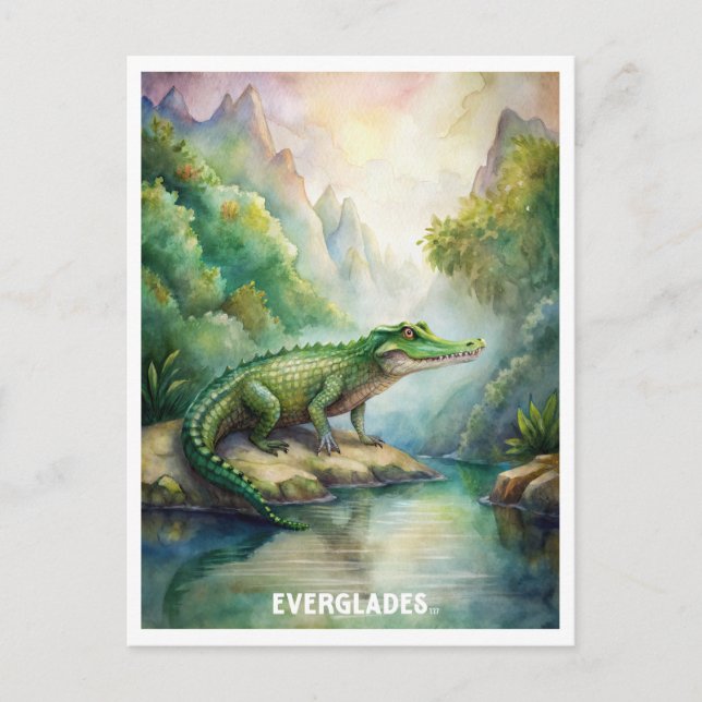 Everglades National Park Watercolor  Postcard (Front)