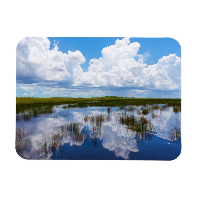 Everglades Natural Landscape Magnet (Horizontal)