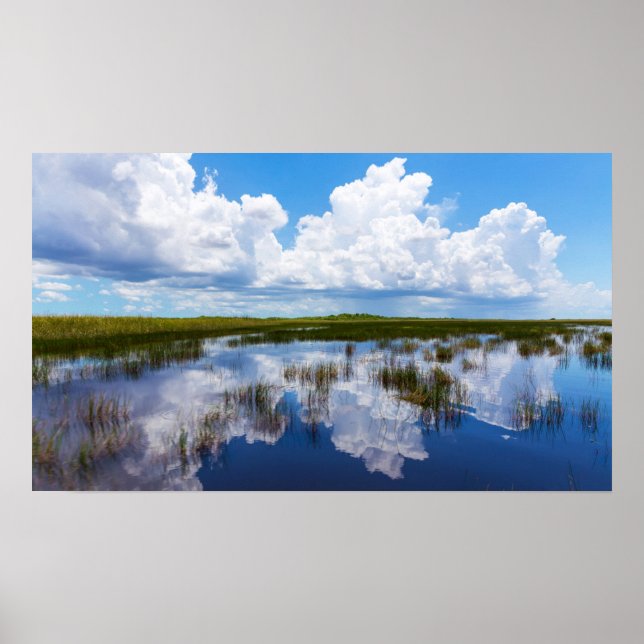 Everglades Natural Landscape Poster (Front)