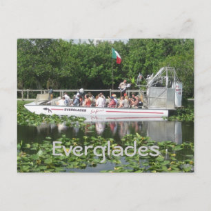 Everglades Postcard