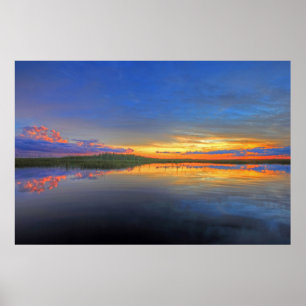 Everglades Reflections Poster