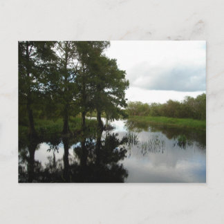 Everglades Waterway Postcard