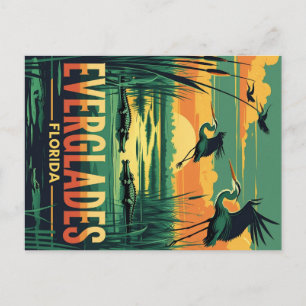 Everglades Wildlife Sunset Postcard