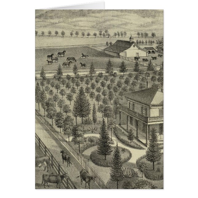 Evergreen Ave Farm (Front)