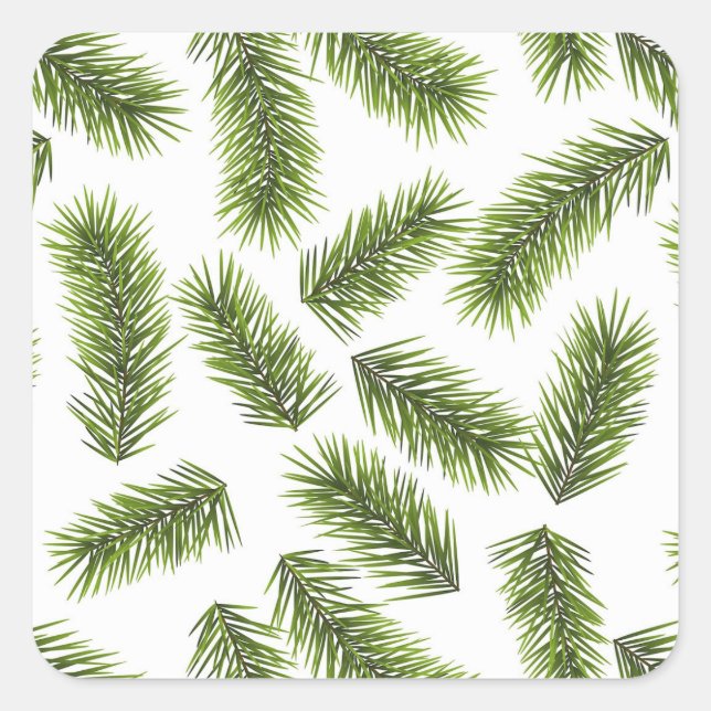 Evergreen Branch Pattern  Square Sticker (Front)