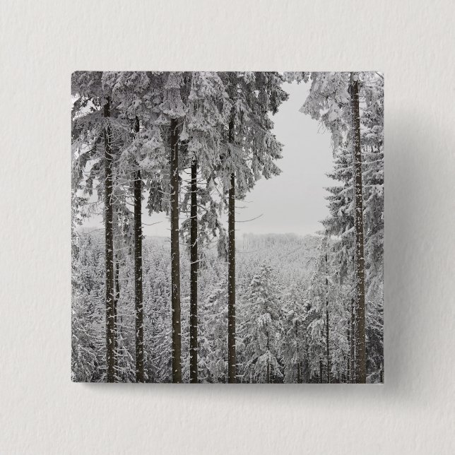 Evergreen forest in winter 15 cm square badge (Front)