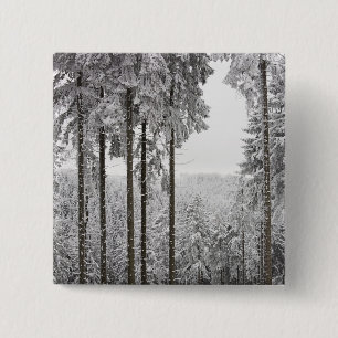 Evergreen forest in winter 15 cm square badge