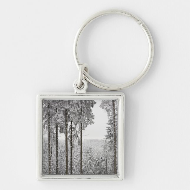 Evergreen forest in winter key ring (Front)