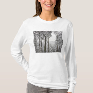 Evergreen forest in winter T-Shirt