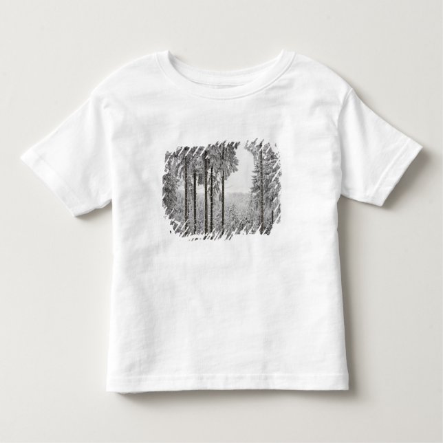 Evergreen forest in winter toddler T-Shirt (Front)