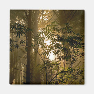 Evergreen Forest   Oregon Coast Magnet