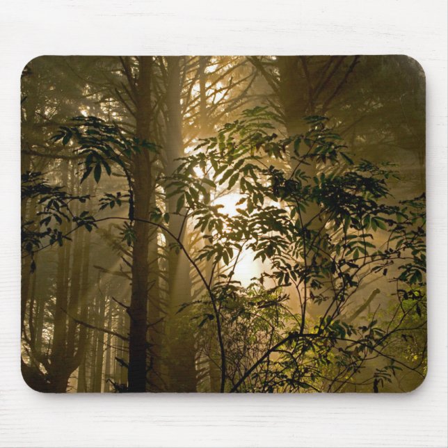 Evergreen Forest | Oregon Coast Mouse Pad (Front)