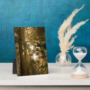 Evergreen Forest Oregon Coast Plaque