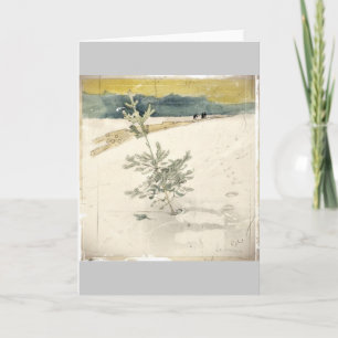 Evergreen Holiday Card