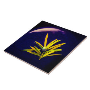 Evergreen on Blue Ceramic Tile