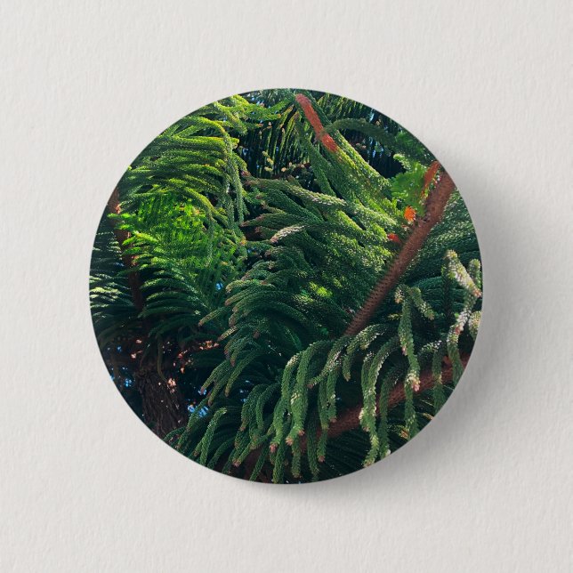 Evergreen pine-tree conifer  6 cm round badge (Front)