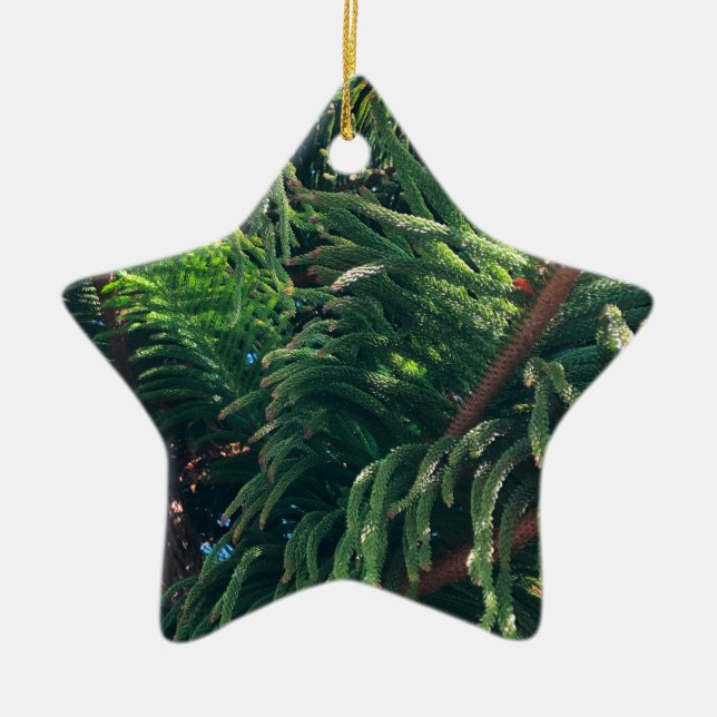 Evergreen pine-tree conifer  ceramic ornament (Front)