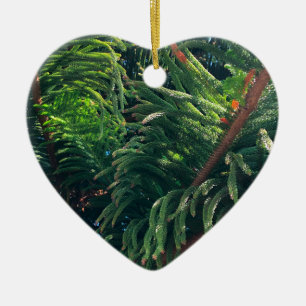 Evergreen pine-tree conifer ceramic ornament
