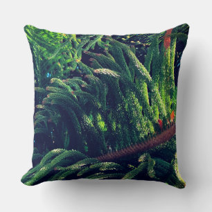 Evergreen pine-tree conifer cushion