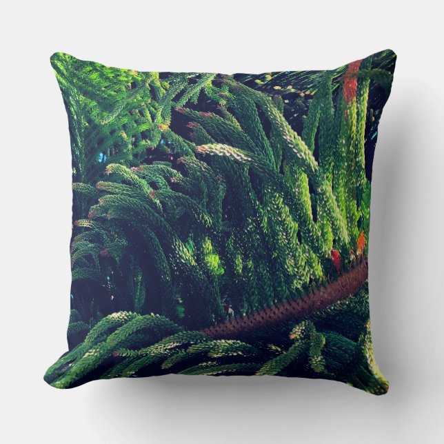 Evergreen pine-tree conifer  cushion (Front)