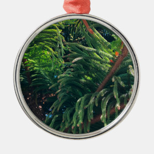 Evergreen pine-tree conifer metal ornament