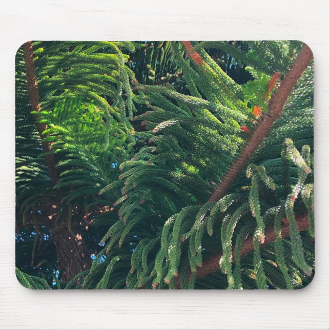 Evergreen pine-tree conifer  mouse pad (Front)