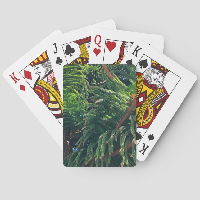 Evergreen pine-tree conifer  playing cards (Back)