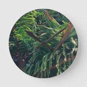 Evergreen pine-tree conifer round clock