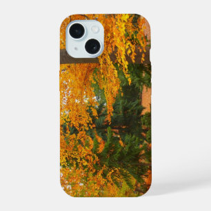 Evergreen Pines and Autumn Trees iPhone 15 Case