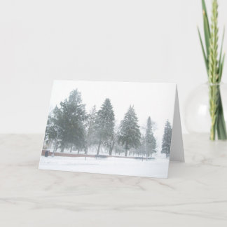 Evergreen Scene Care Holiday Card