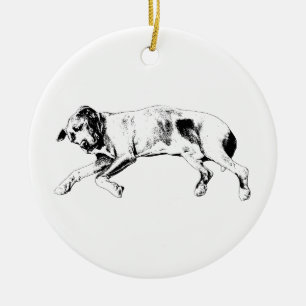 Evergreen Siesta Ceramic Ornament