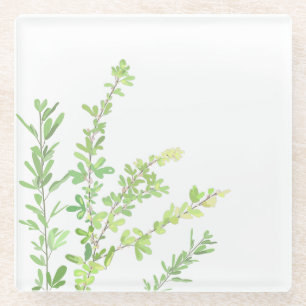 Evergreen springs Nature Greenery Glass Coaster