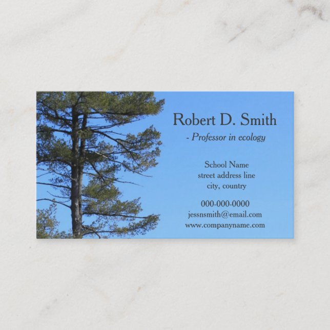 evergreen tree in blue sky science profile cards (Front)
