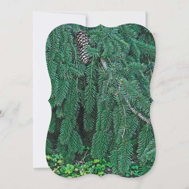 Evergreen Tree With. Pine Cone (Front)