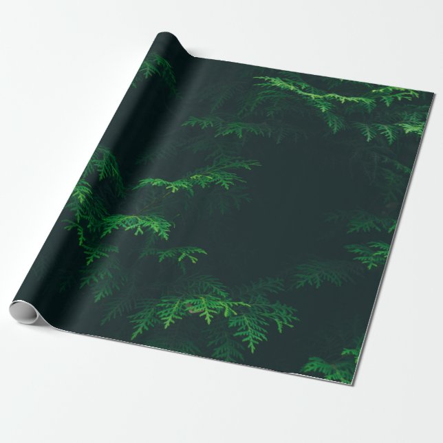 Evergreen tree wrapping paper (Unrolled)