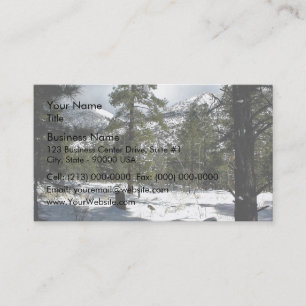 Evergreen trees in a snowy landscape business card