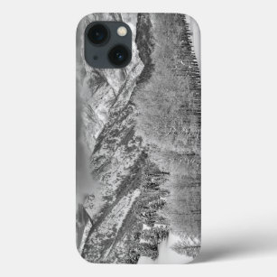 Evergreens and Aspen trees in a snow storm iPhone 13 Case