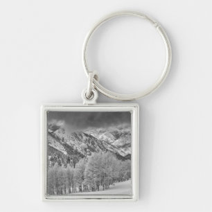 Evergreens and Aspen trees in a snow storm Key Ring
