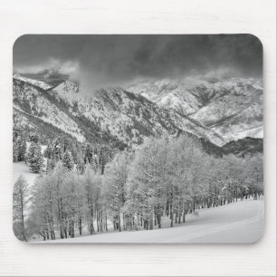 Evergreens and Aspen trees in a snow storm Mouse Pad
