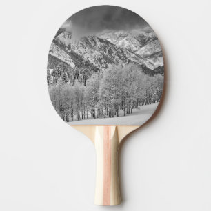 Evergreens and Aspen trees in a snow storm Ping Pong Paddle