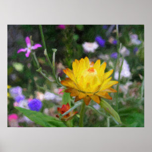 Everlasting Flowers. Poster