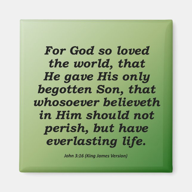 Everlasting Life Christmas John 3-16 Magnet (Front)