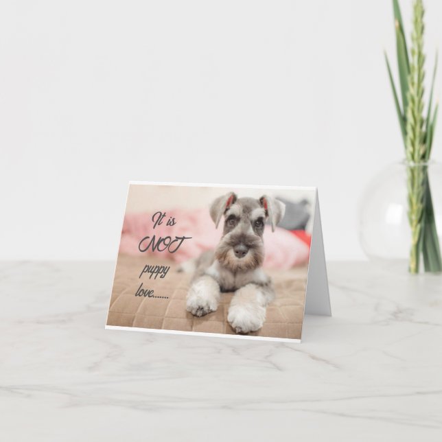 EVERLASTING-NOT PUPPY LOVE FOR YOU!!!! CARD (Front)