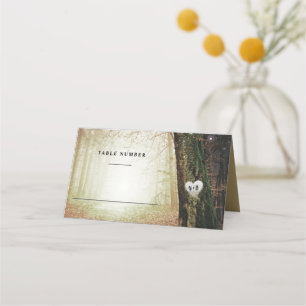 Evermore   Enchanted Forest   Amber Table Number Place Card