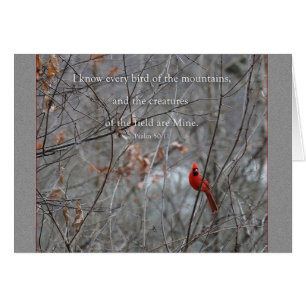 Every bird of the mountain Parakaleo note card