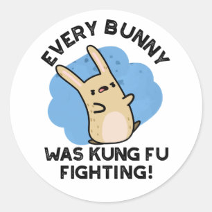 Every Bunny Was Kung Fu Fighting Funny Rabbit Pun  Classic Round Sticker
