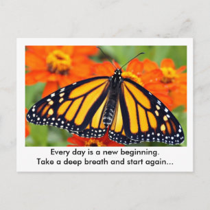 Every day is a new beginning...Monarch butterfly Postcard