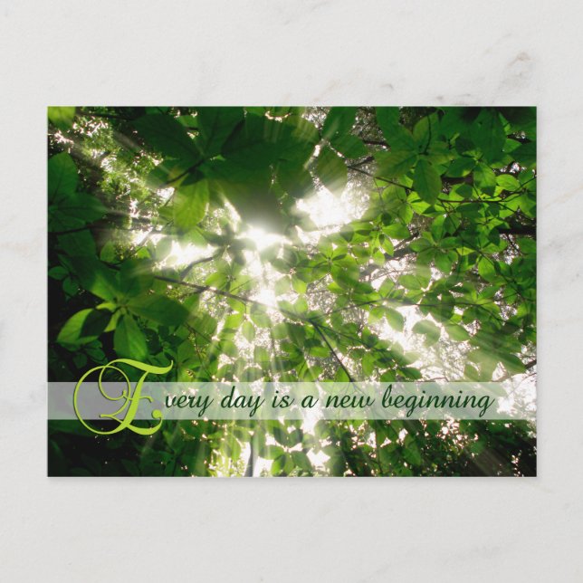 Every Day is a New Beginning Sunlight Trees Forest Postcard (Front)